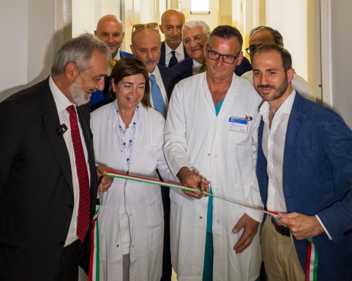 Image-Article